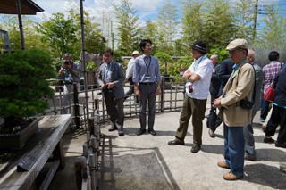 「大宮盆栽美術館」・「盆栽村」の見学3