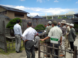 「大宮盆栽美術館」・「盆栽村」の見学4