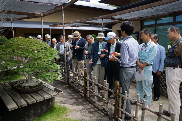 「大宮盆栽美術館」・「盆栽村」の見学1